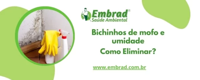 Banner bichinhos de mofo